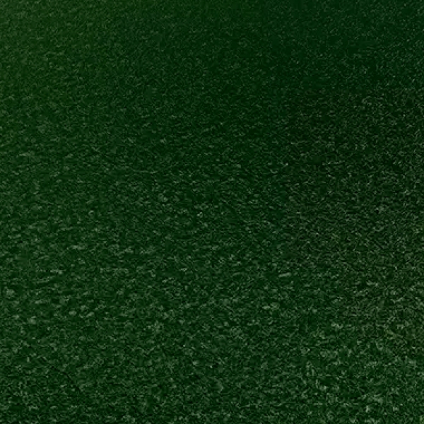 RAL6005