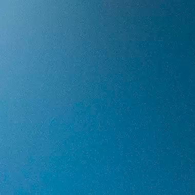 RAL5005