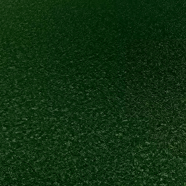 RAL6005
